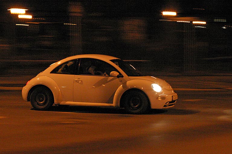 beetle at night