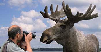 Ich mit Model in Schweden, keine Montage (!), nur Zaun retuschiert :-) Foto: Angela Kraft